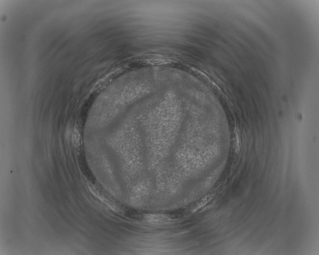 X0000081420371200702021633