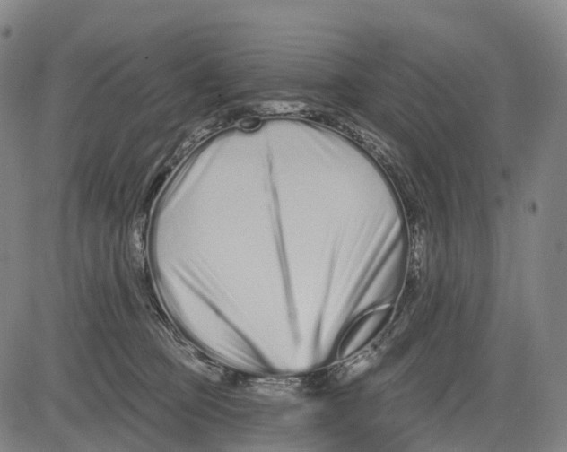 X0000081420373200702021633