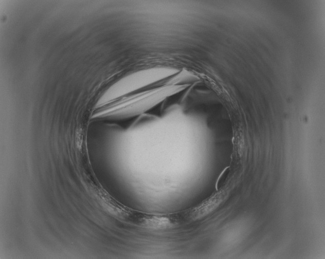 X0000081420374200702021633