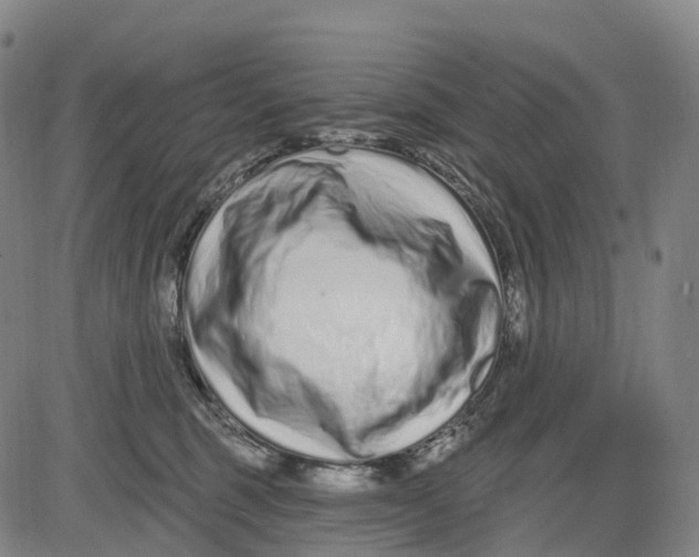 X0000081420375200702021633