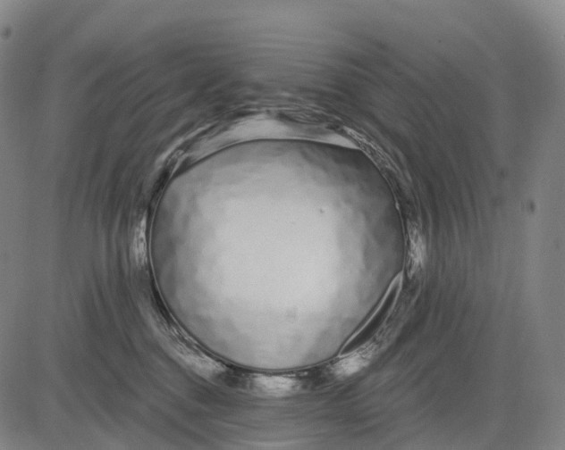 X0000081420376200702021633