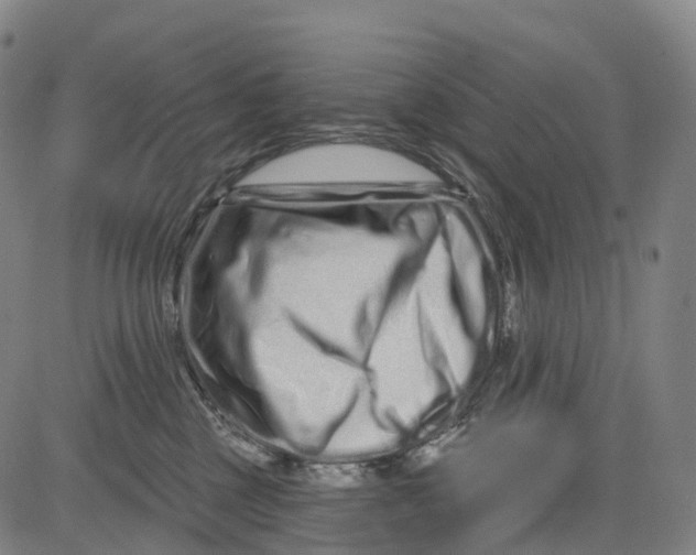 X0000081420377200702021633