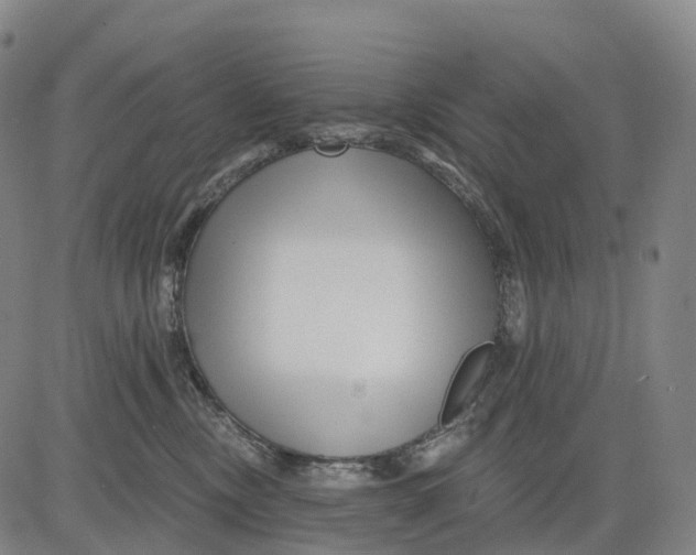 X0000081420378200702021633