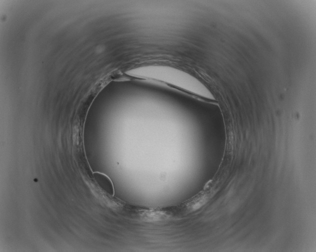 X0000081420379200702021633