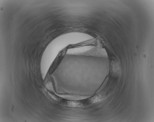 X0000081420380200702021633