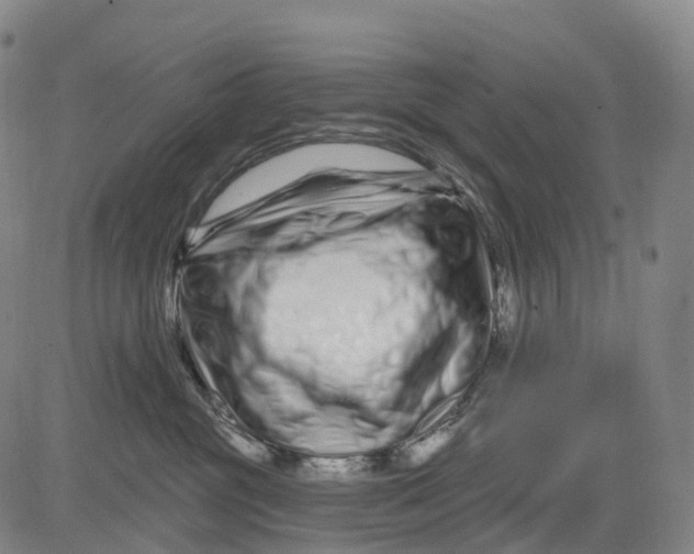 X0000081420381200702021633