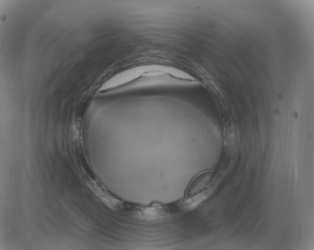 X0000081420382200702021633