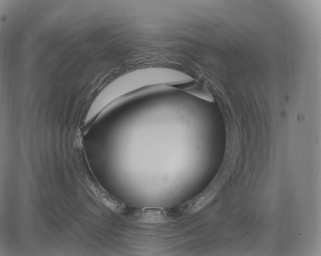 X0000081420384200702021633