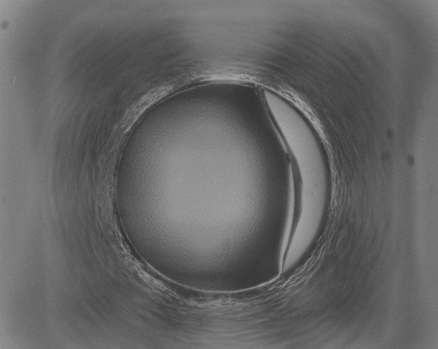 X0000081420385200702021633