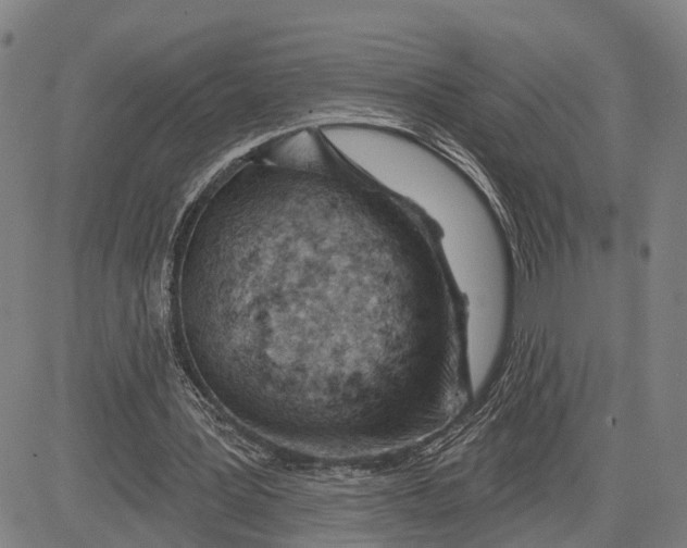 X0000081420387200702021633