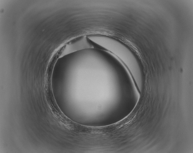 X0000081420388200702021633