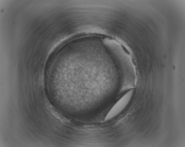 X0000081420391200702021633