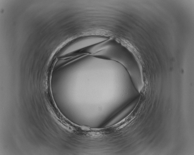 X0000081420392200702021633