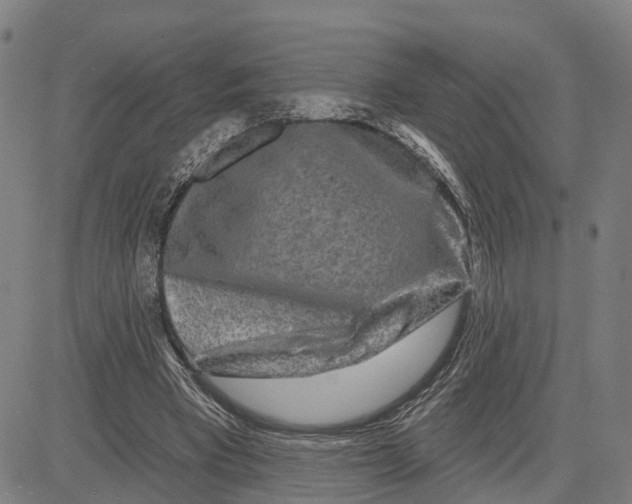 X0000081420393200702021633