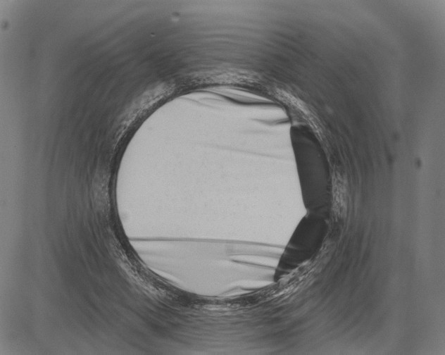 X0000081420394200702021633