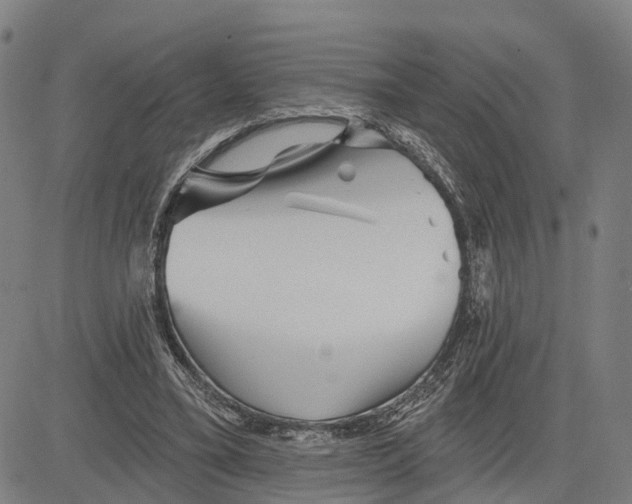 X0000081420395200702021633