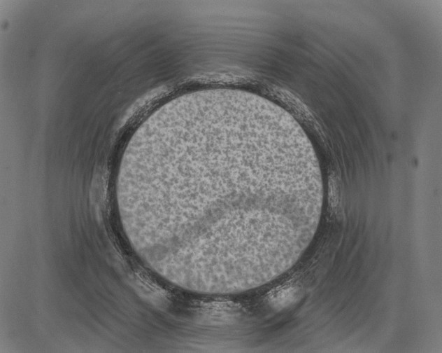 X0000081420396200702021633