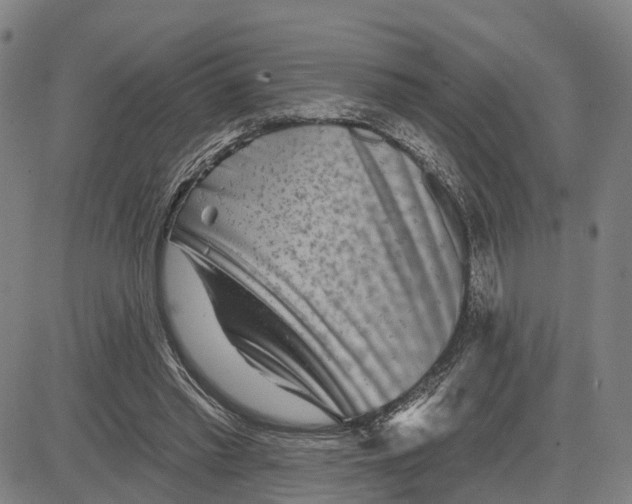 X0000081420397200702021632