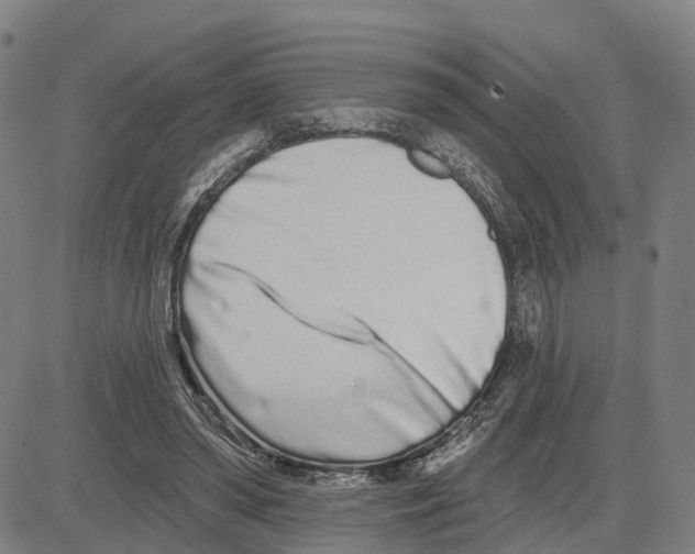 X0000081420398200702021632