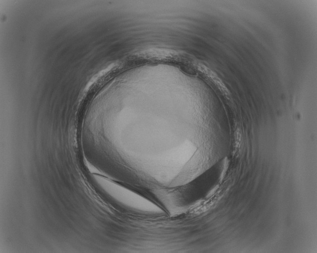 X0000081420399200702021632