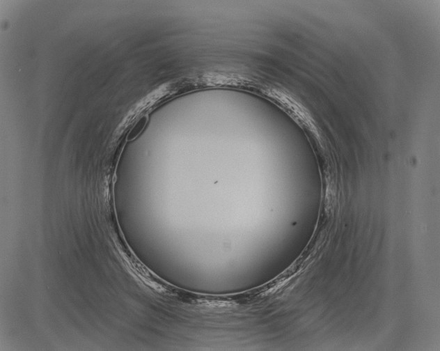 X0000081420401200702021632