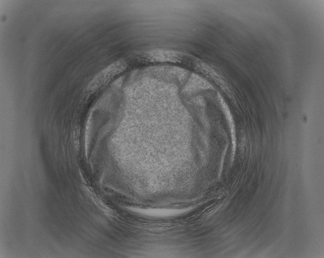 X0000081420402200702021632