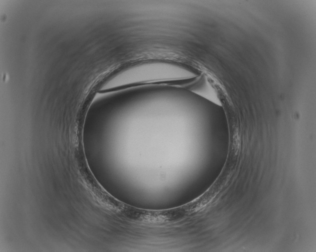 X0000081420403200702021632