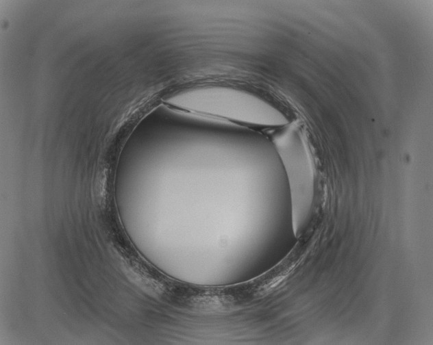 X0000081420404200702021632