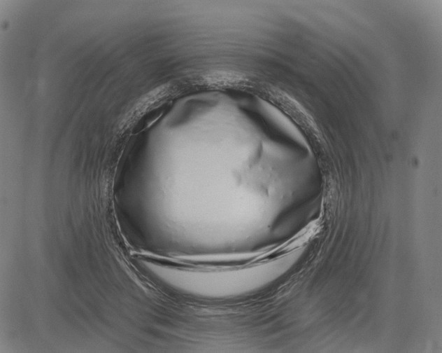 X0000081420405200702021632