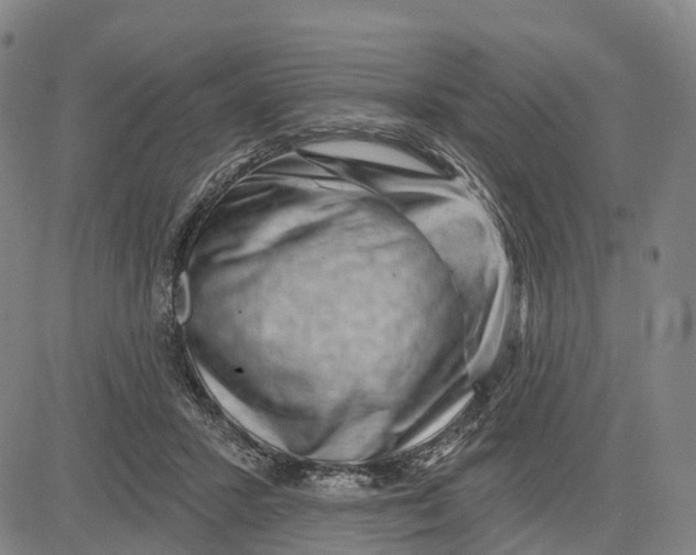 X0000081420407200702021632