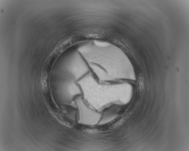 X0000081420408200702021632