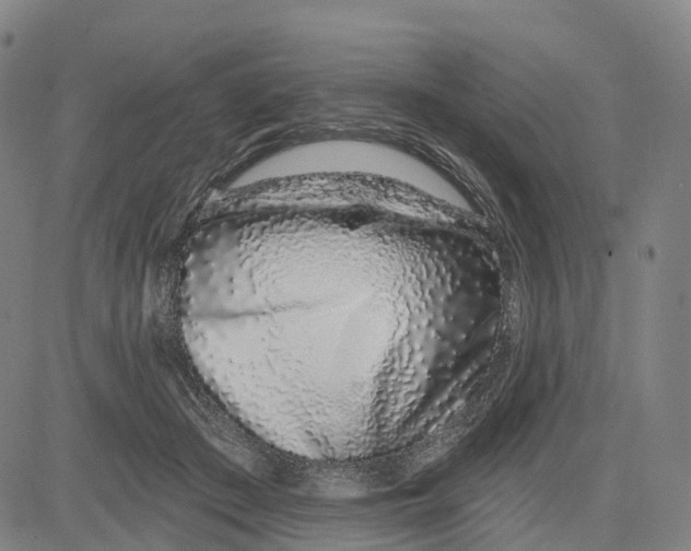 X0000081420409200702021632