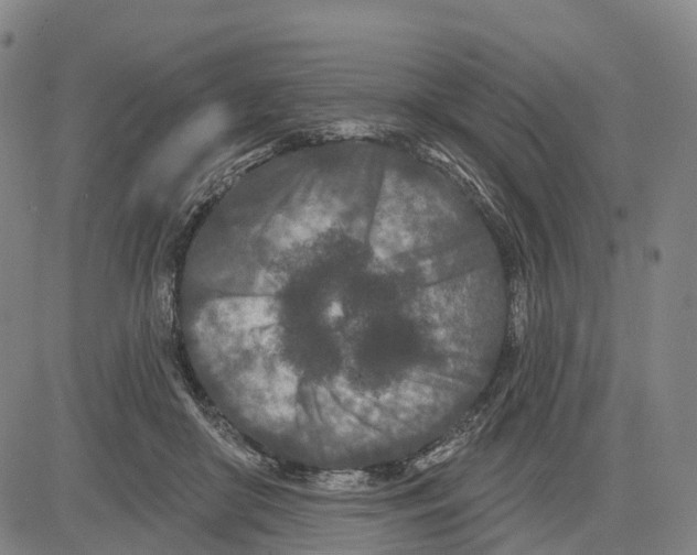 X0000081420410200702021632