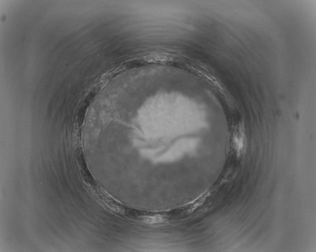 X0000081420411200702021632