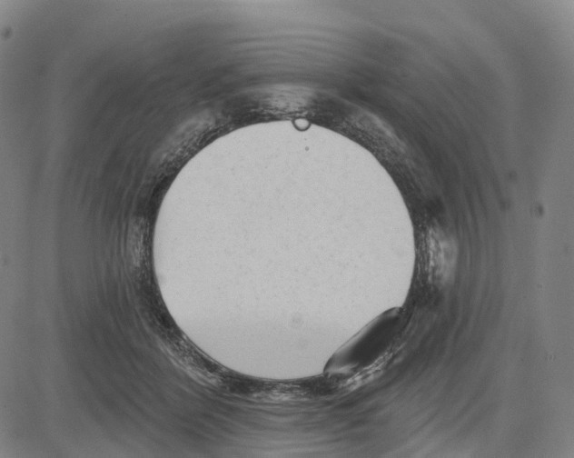 X0000081420412200702021632