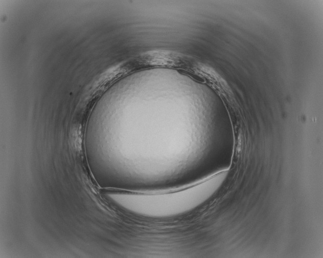 X0000081420413200702021632