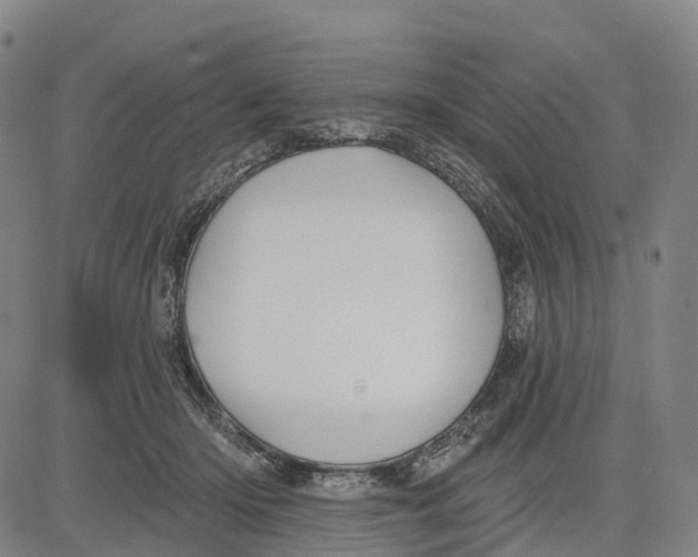 X0000081420414200702021632