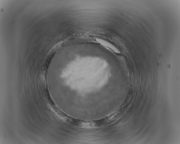 X0000081420415200702021632