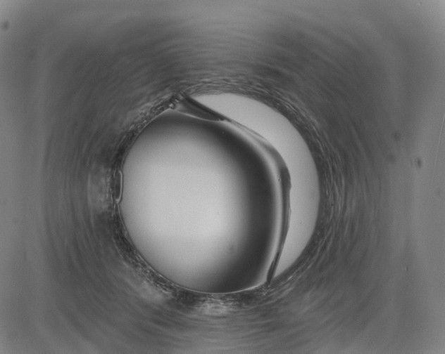 X0000081420416200702021632