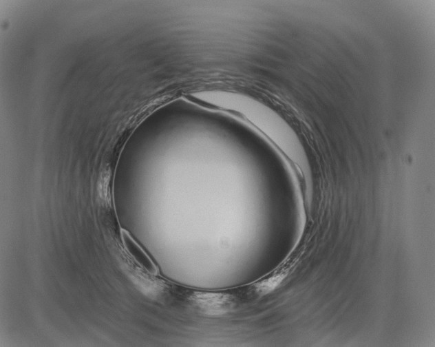 X0000081420417200702021632