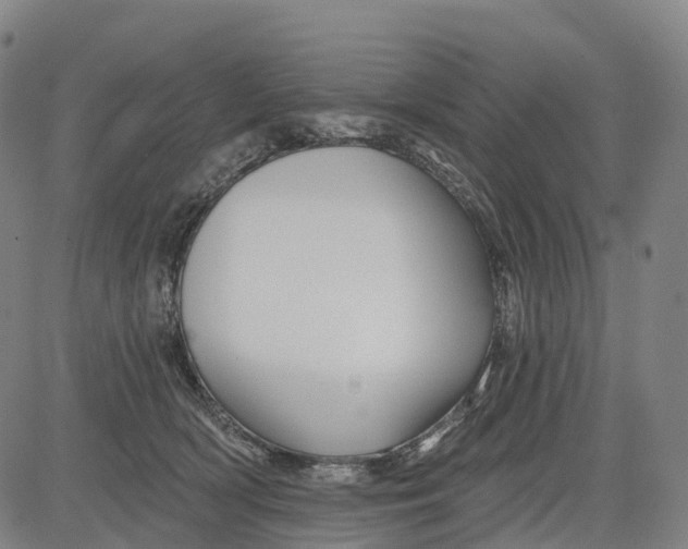 X0000081420418200702021632