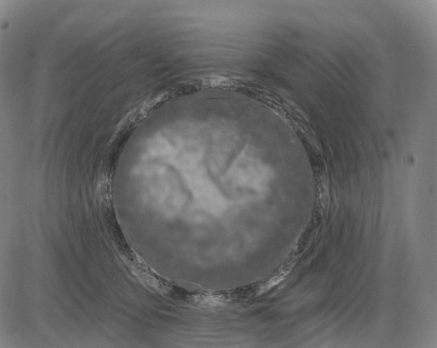 X0000081420419200702021632