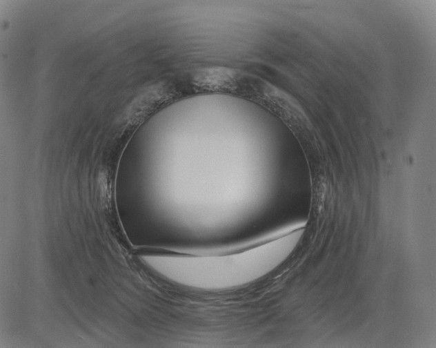 X0000081420420200702021632