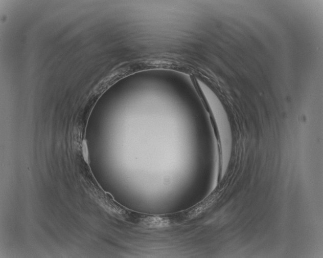 X0000081420421200702021632