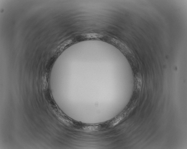 X0000081420422200702021632