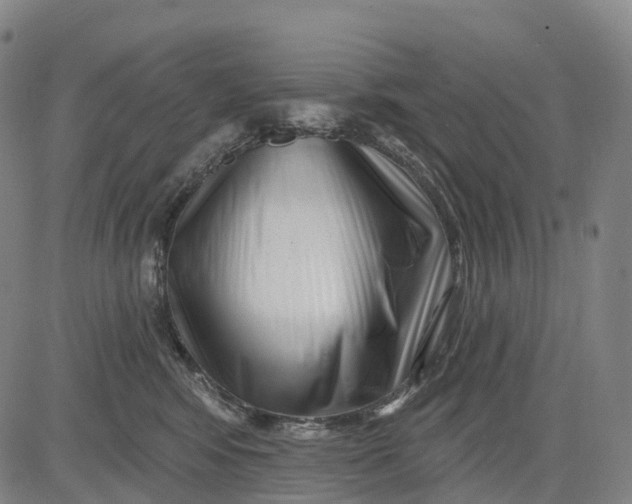 X0000081420424200702021632