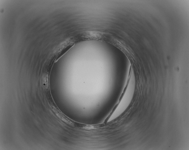 X0000081420425200702021632