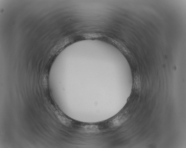 X0000081420426200702021632