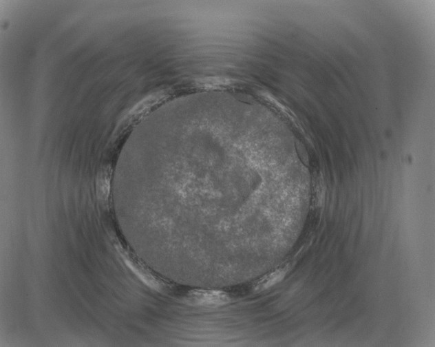 X0000081420427200702021632