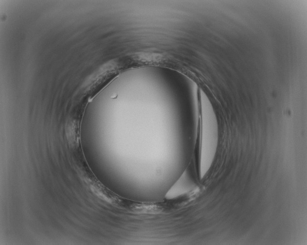 X0000081420428200702021632